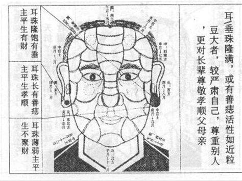 鴛鴦耳面相|面相耳朵图解【最详细版】 – 杨易德全集官网